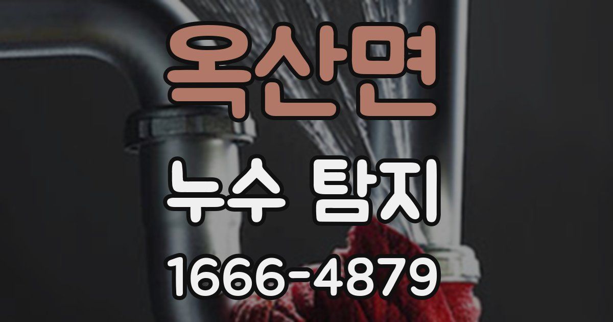 옥산면 누수 탐지