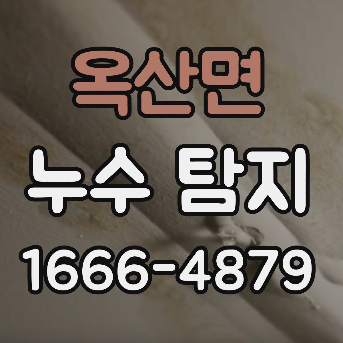 옥산면 누수 탐지