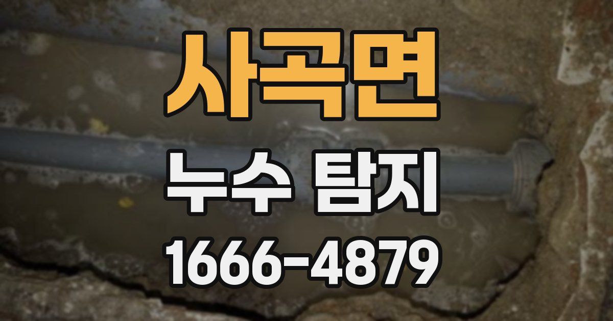 사곡면 누수 탐지
