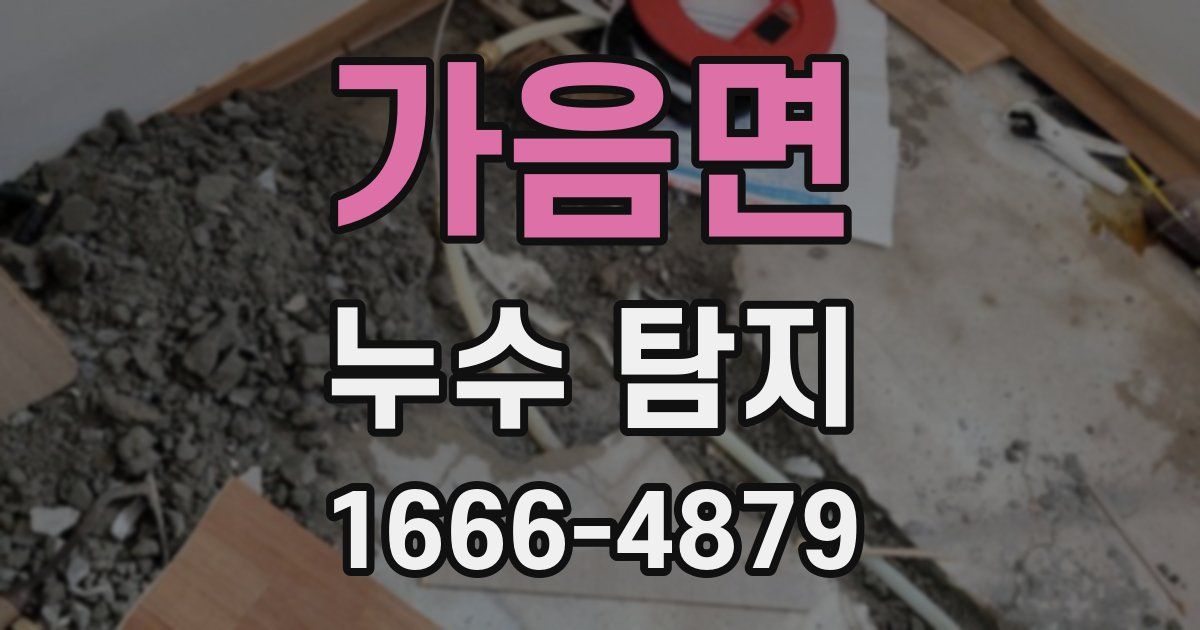 가음면 누수 탐지