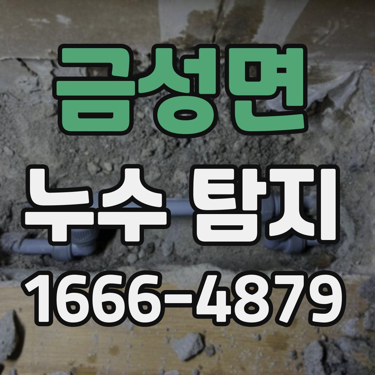 금성면 누수 탐지
