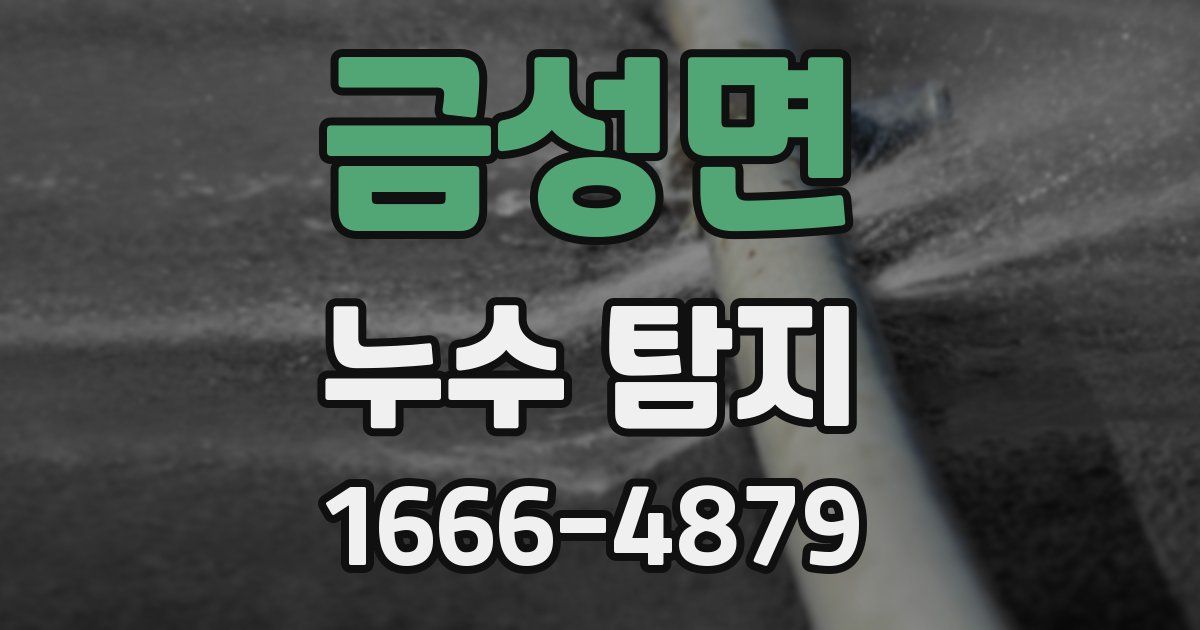 금성면 누수 탐지