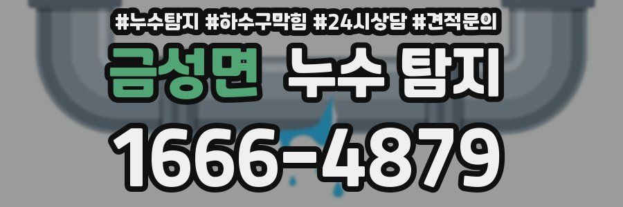 금성면 누수 탐지