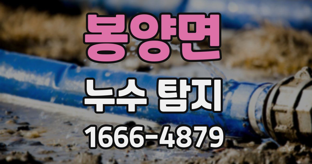 봉양면 누수 탐지