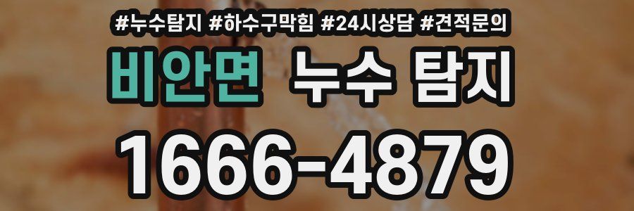 비안면 누수 탐지