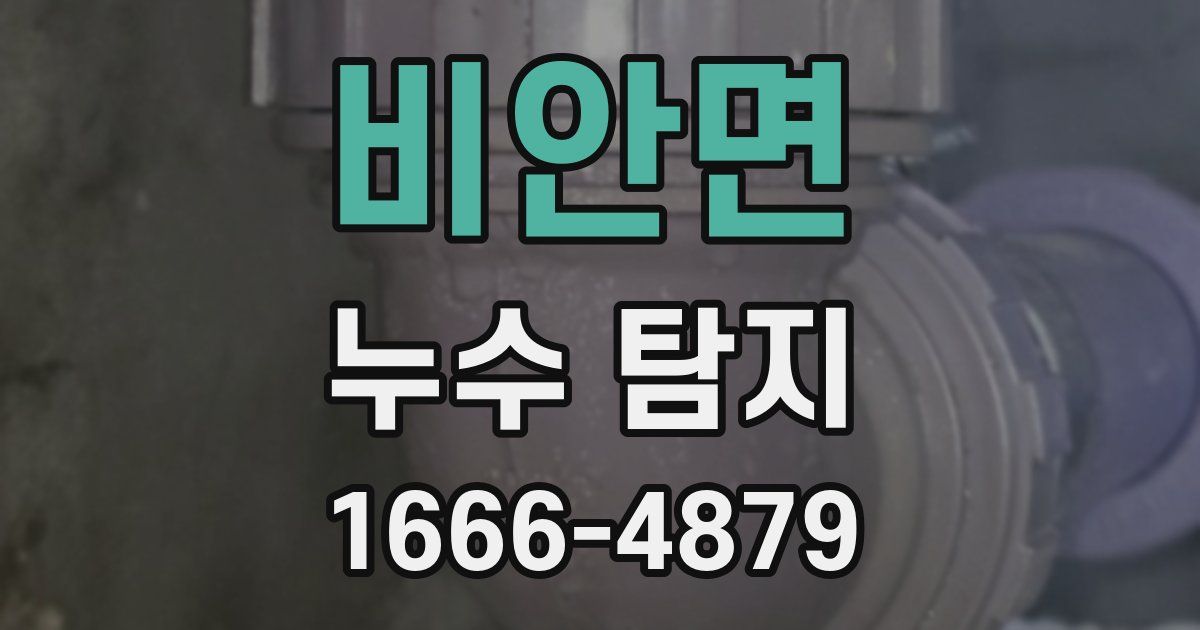 비안면 누수 탐지