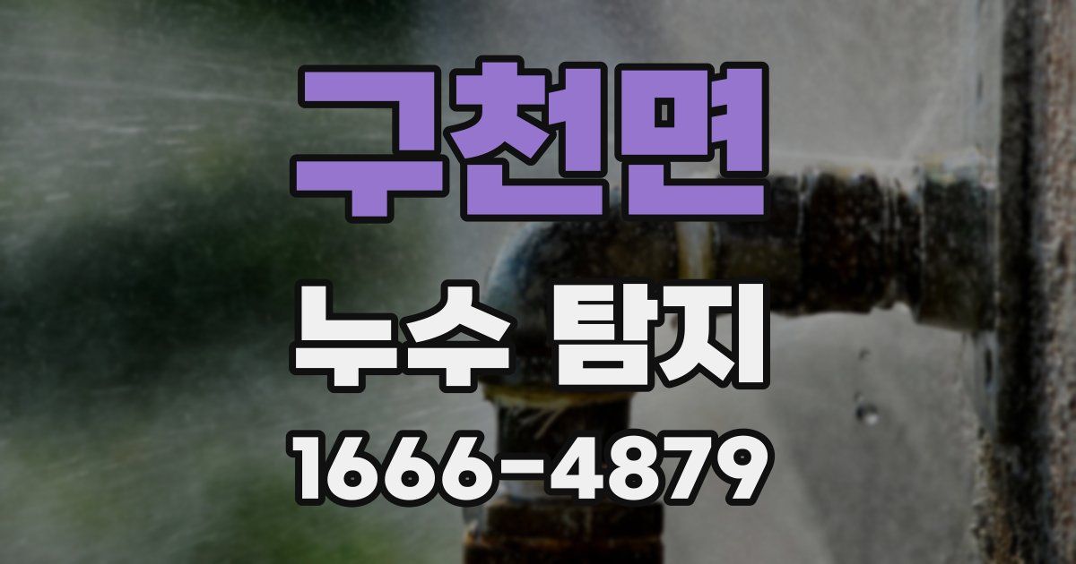 구천면 누수 탐지