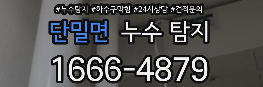 단밀면 누수 탐지