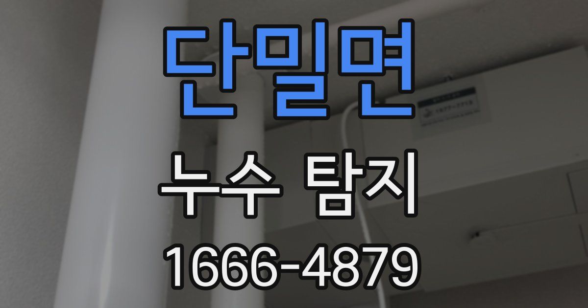 단밀면 누수 탐지
