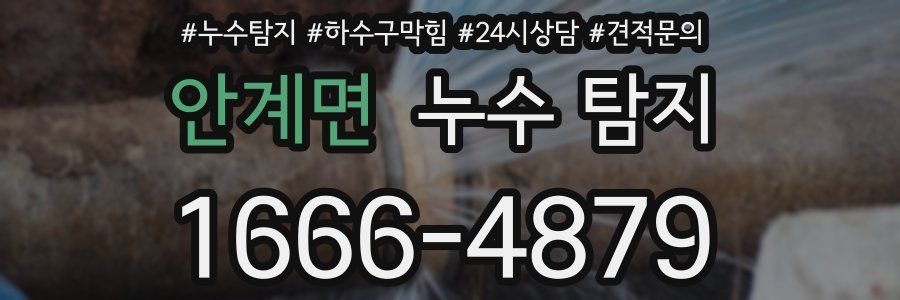 안계면 누수 탐지