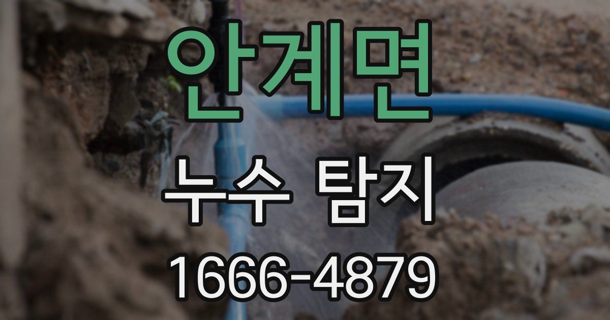 안계면 누수 탐지