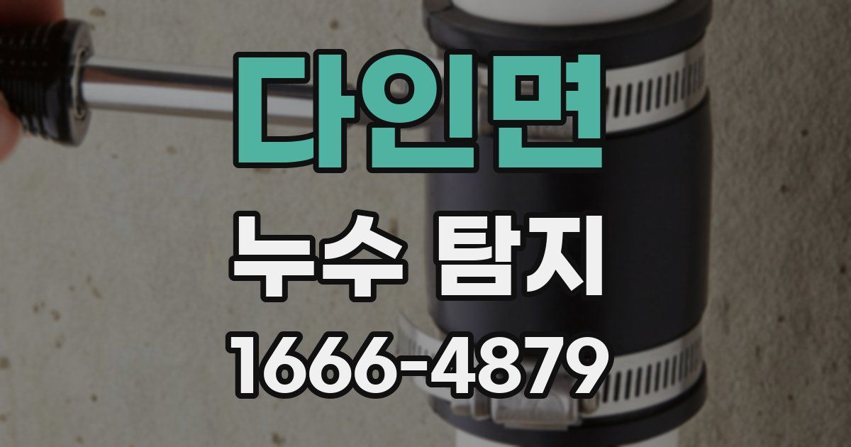 다인면 누수 탐지