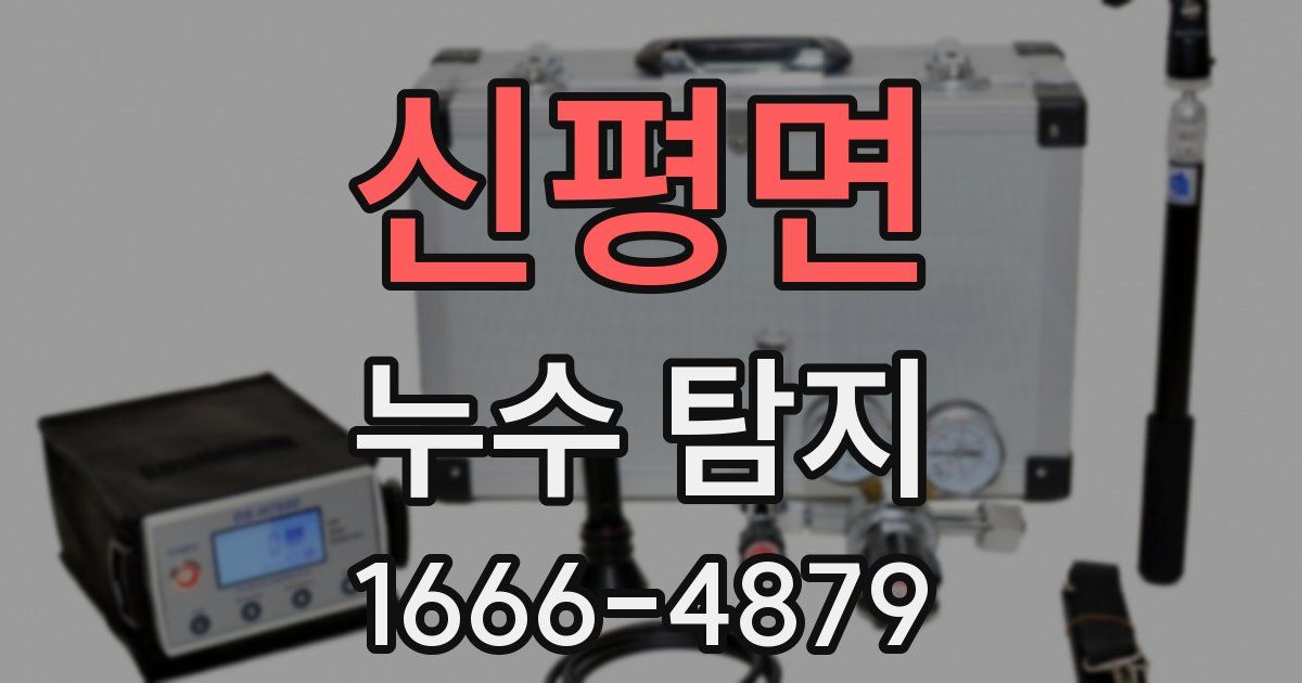 신평면 누수 탐지