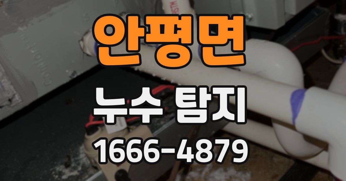 안평면 누수 탐지