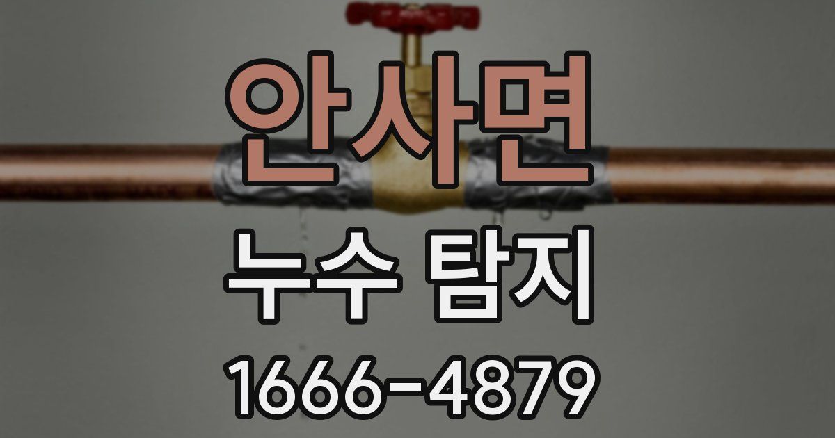 안사면 누수 탐지