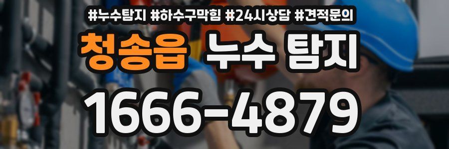 청송읍 누수 탐지