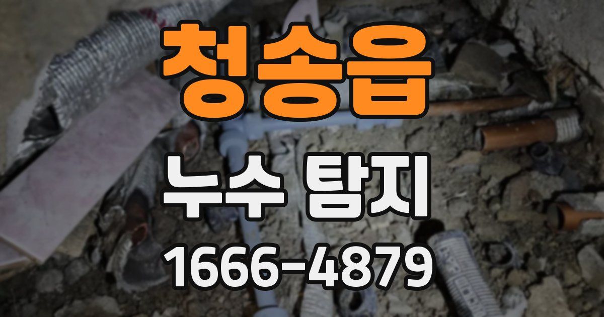 청송읍 누수 탐지