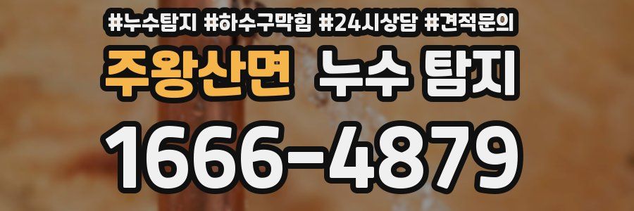 주왕산면 누수 탐지