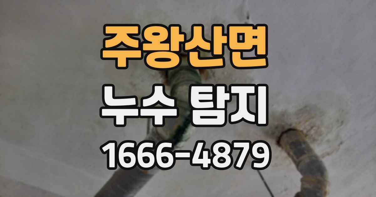 주왕산면 누수 탐지