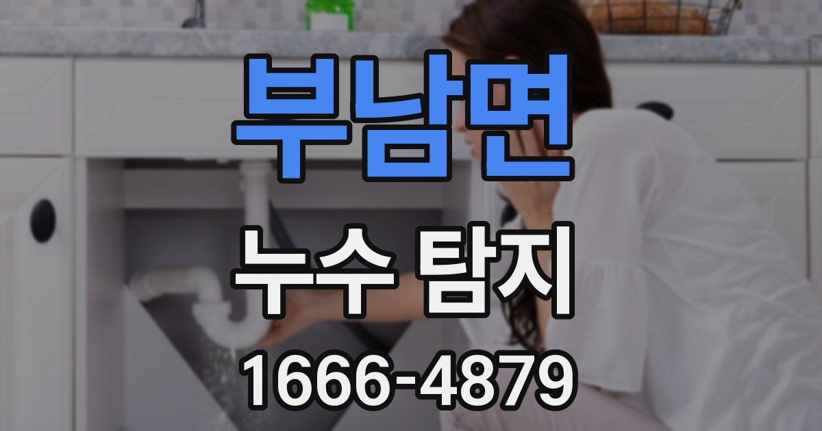부남면 누수 탐지