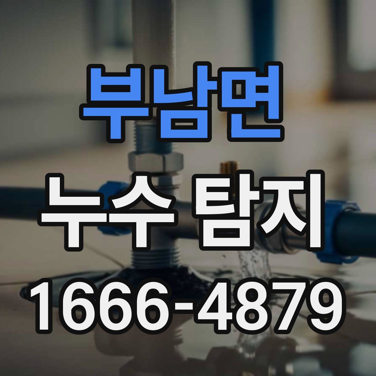 부남면 누수 탐지