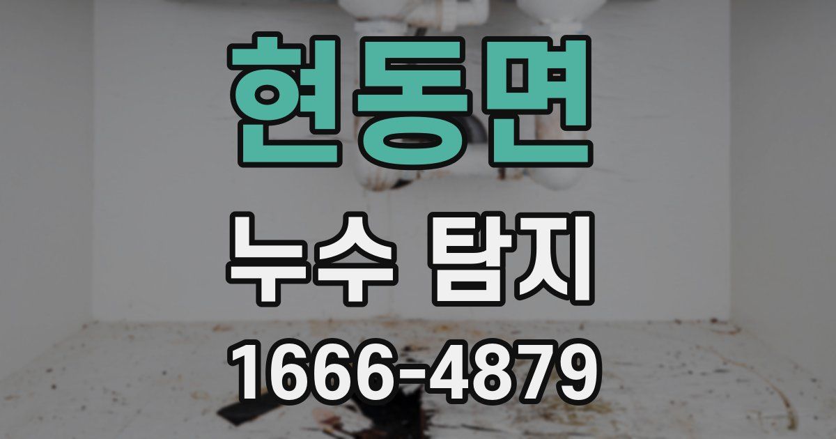 현동면 누수 탐지