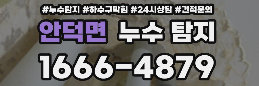 안덕면 누수 탐지