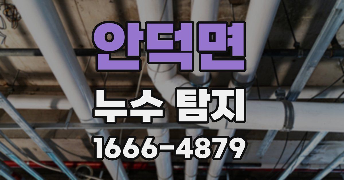 안덕면 누수 탐지