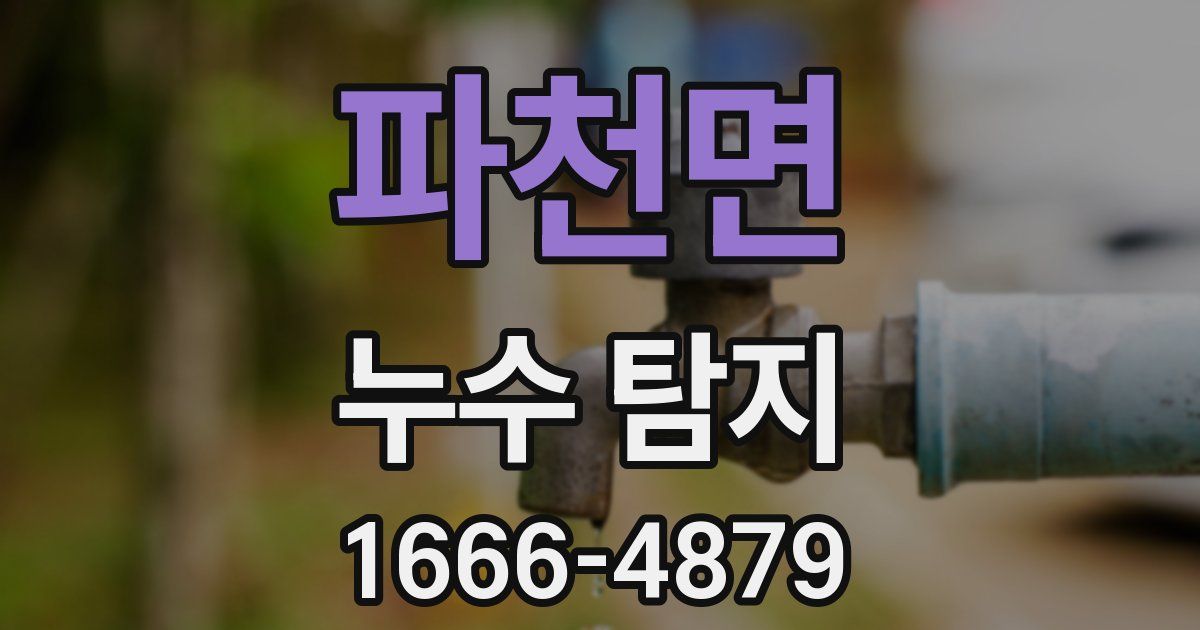 파천면 누수 탐지