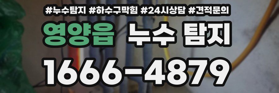 영양읍 누수 탐지