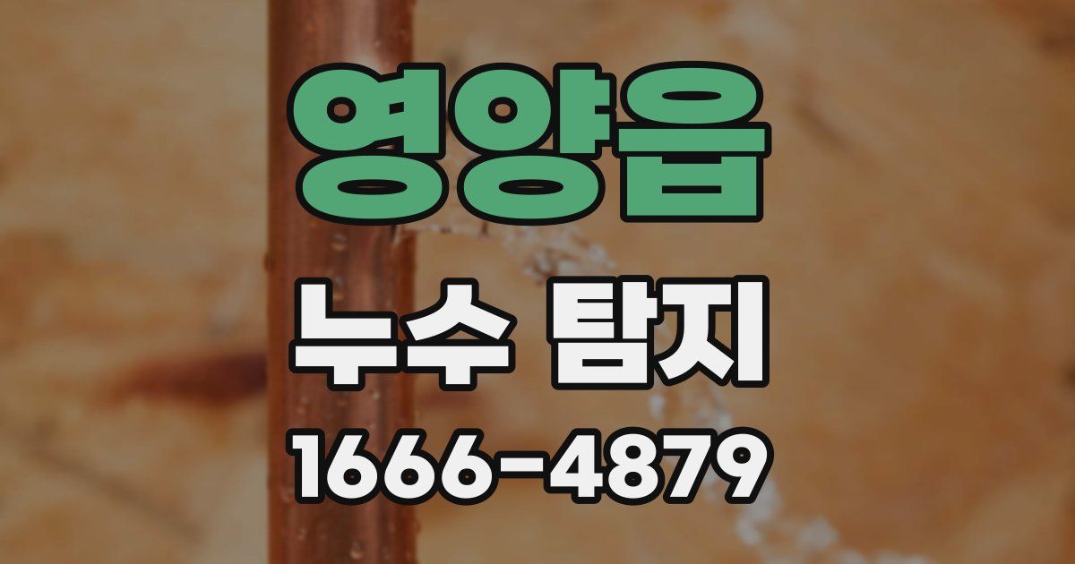 영양읍 누수 탐지