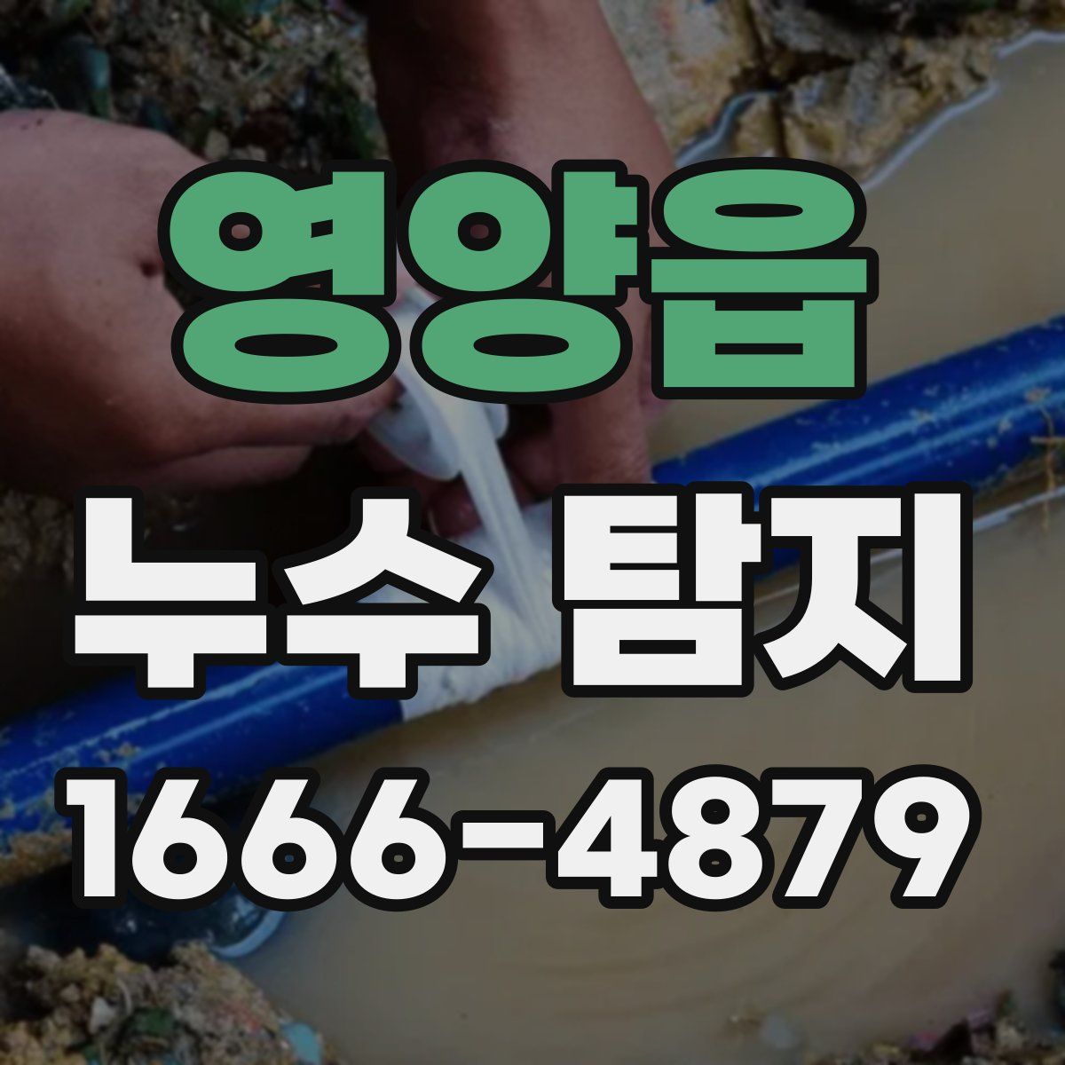 영양읍 누수 탐지