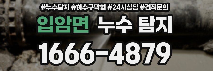 입암면 누수 탐지