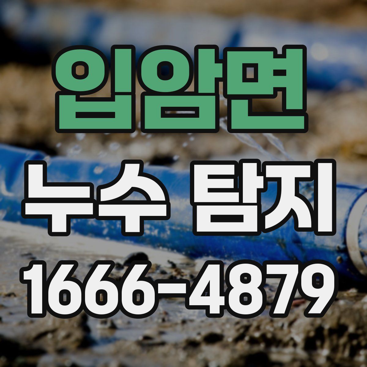 입암면 누수 탐지