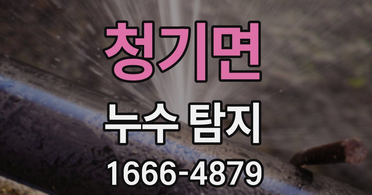 청기면 누수 탐지