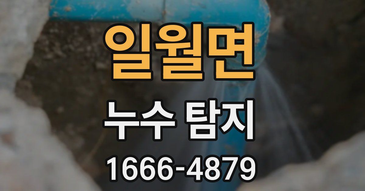 일월면 누수 탐지
