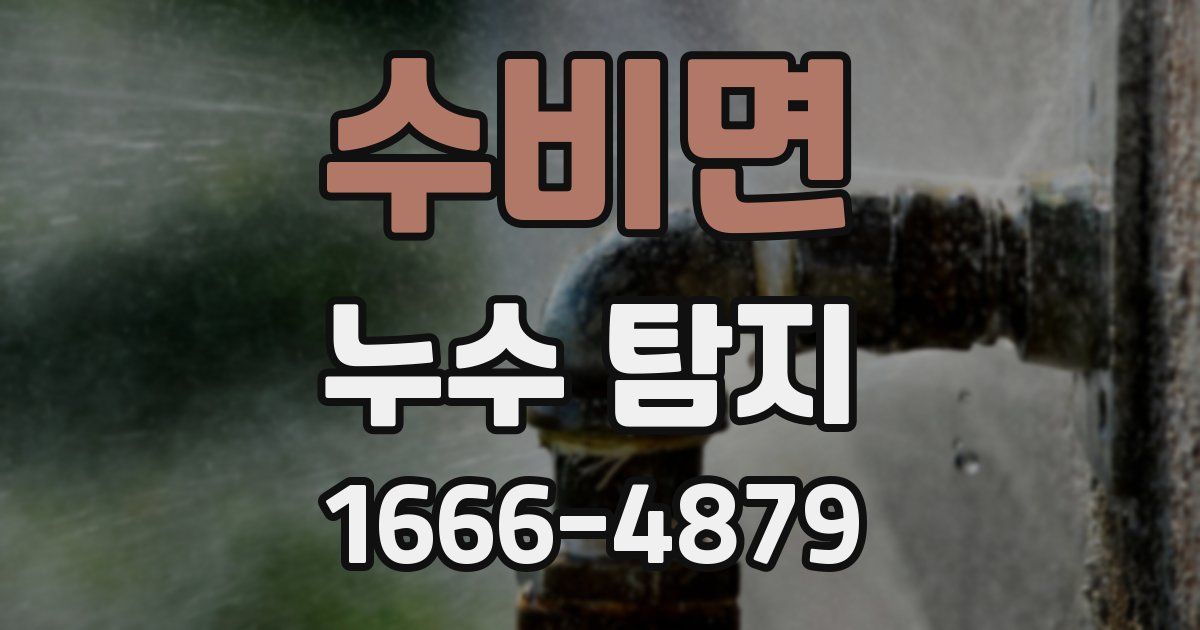 수비면 누수 탐지