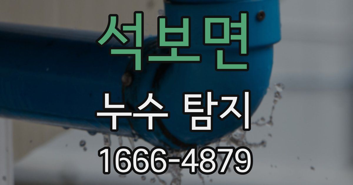 석보면 누수 탐지