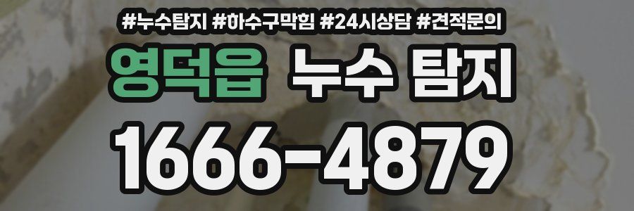 영덕읍 누수 탐지