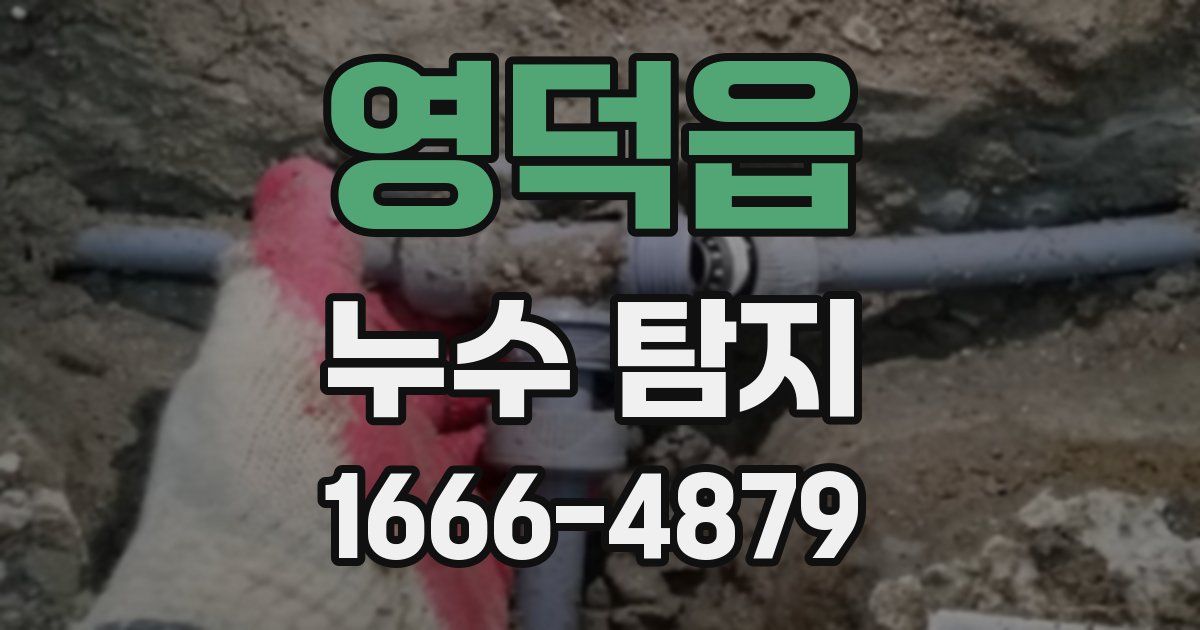영덕읍 누수 탐지