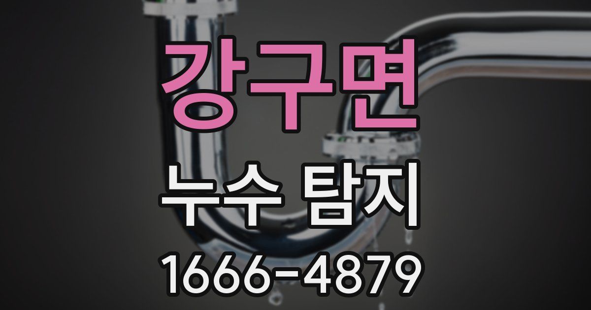 강구면 누수 탐지