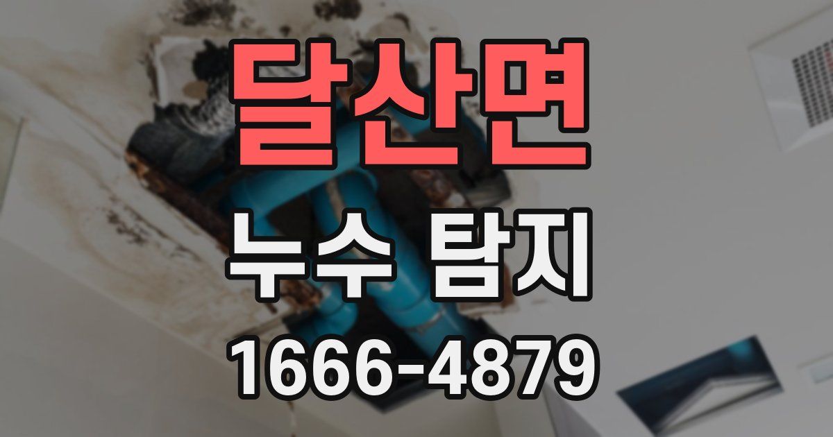 달산면 누수 탐지