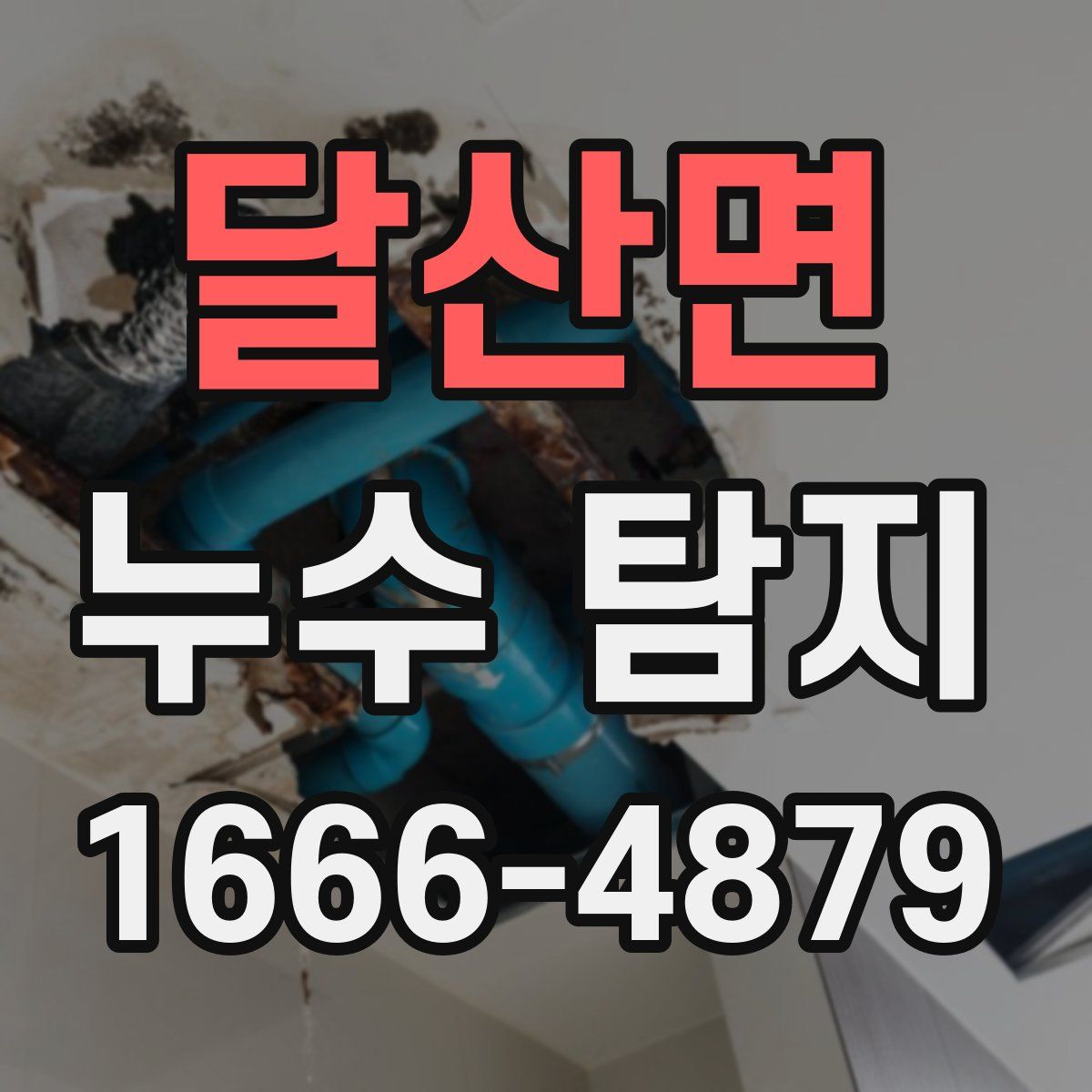 달산면 누수 탐지