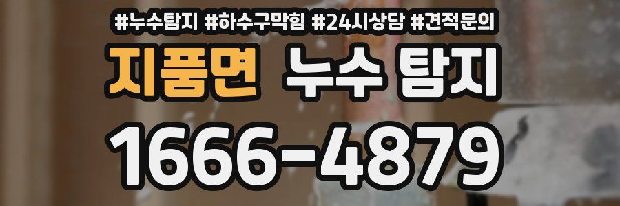 지품면 누수 탐지