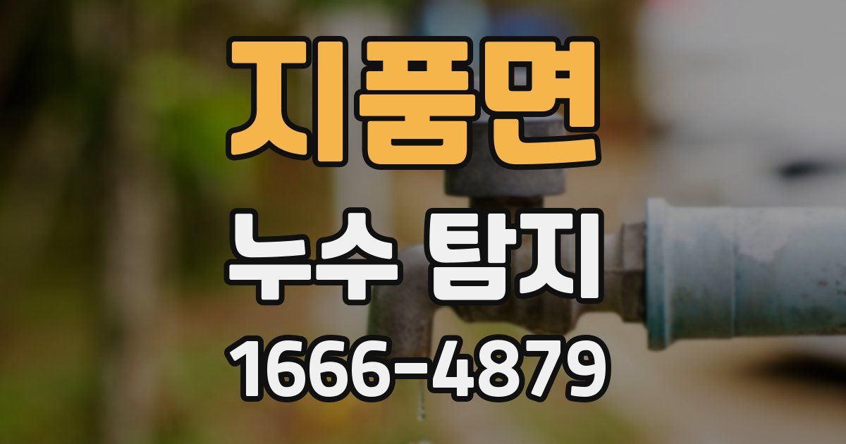 지품면 누수 탐지
