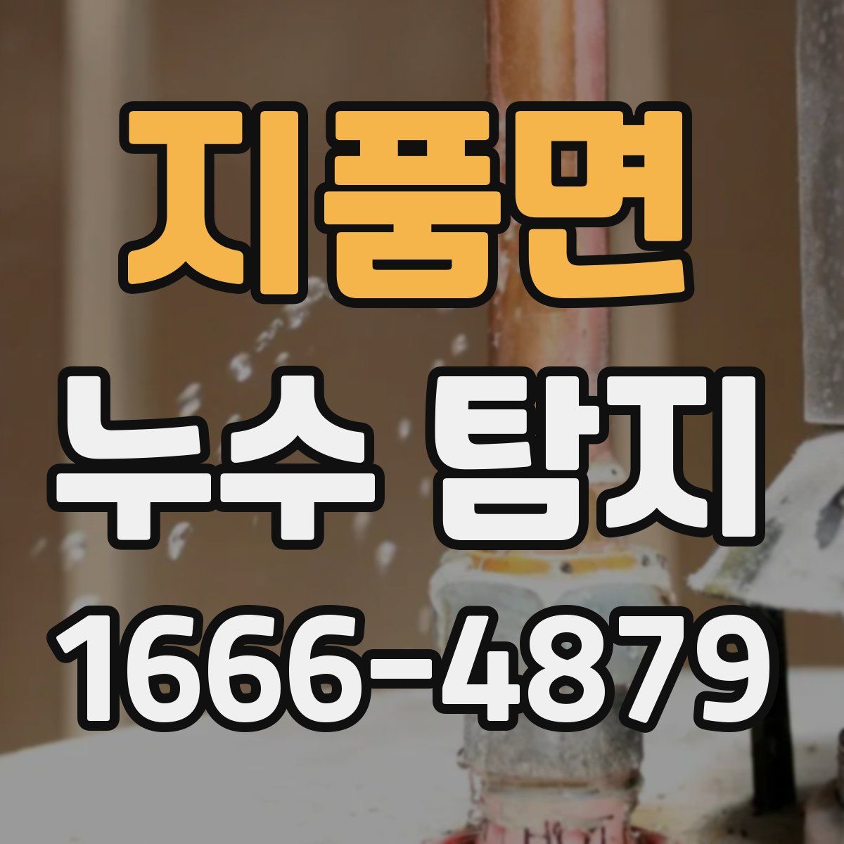 지품면 누수 탐지