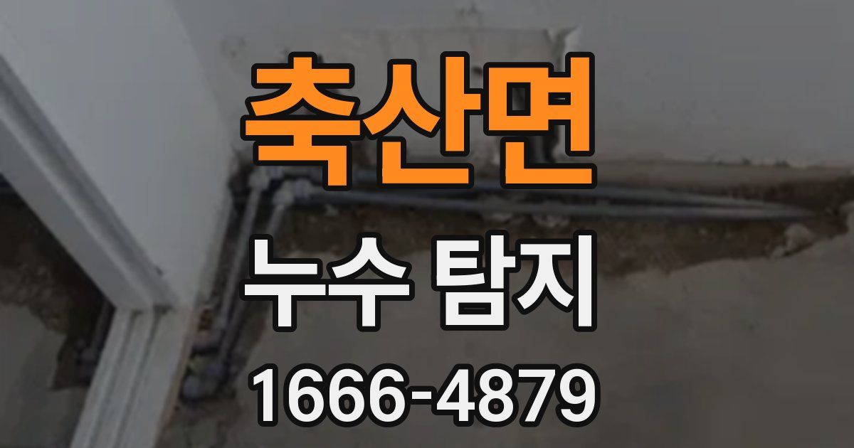 축산면 누수 탐지