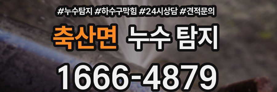 축산면 누수 탐지