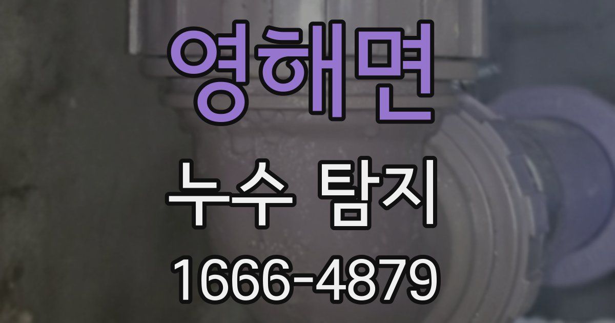 영해면 누수 탐지