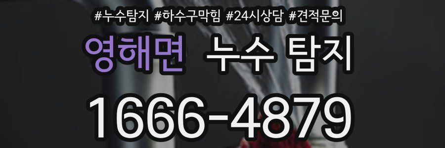 영해면 누수 탐지